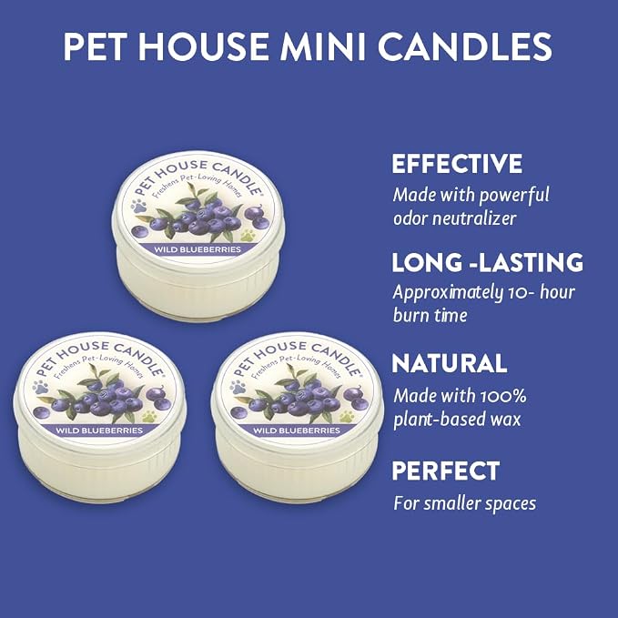 Pet House Mini Candles for Pet Odor Made with Natural Soy Wax, Plant Based, Dog and Cat Friendly Scented, Wild Blueberries Pack of 3