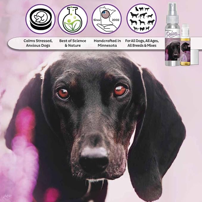 The Blissful Dog German Shorthaired Pointer Relax Dog Aromatherapy Spray for Your Dog's Anxiety