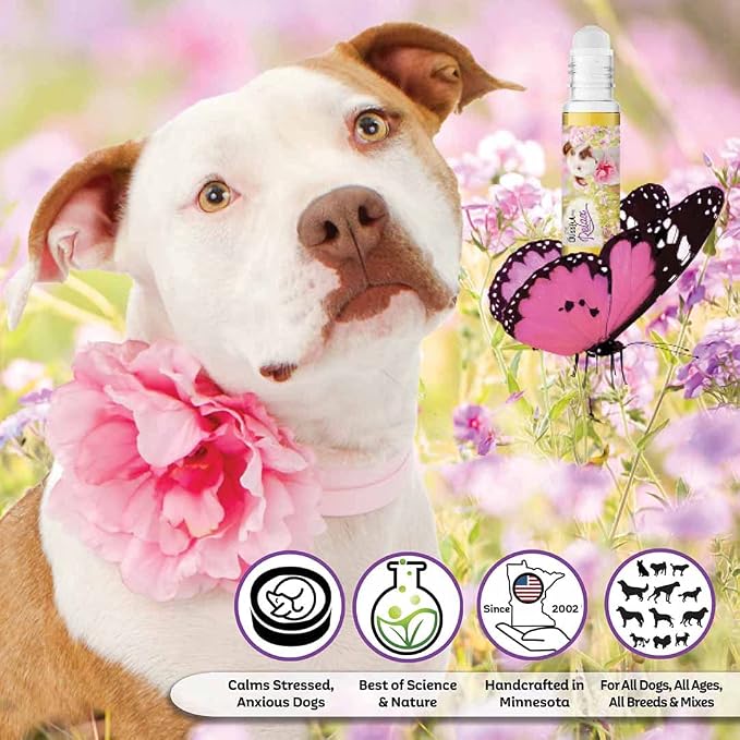 The Blissful Dog American Staffordshire Terrier Relax Dog Aromatherapy Spray for Your Dog's Anxiety