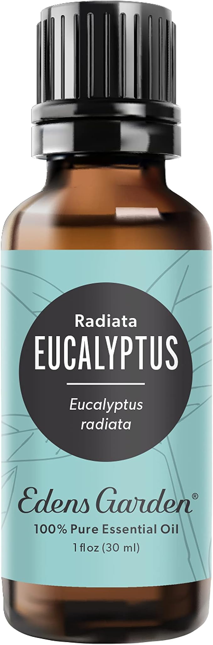 Edens Garden Eucalyptus- Radiata Essential Oil- 100% Pure Premium Grade, Undiluted, Natural, Therapeutic, Aromatherapy, The Best for Diffuser, Laundry, Hair, Humidifiers 30 ml (1 fl oz)