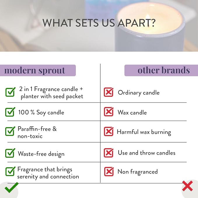Modern Sprout Garden Vibes - 6 Oz Soy Candle Planter - Violet Hour - 2-Pack | 2 in 1 Soy Candles-6 oz w/40-hr burn; Lavender, Grape Soda, Wild Iris, Violet - Reusable Ceramic Vessel as a Lavender Planter