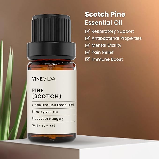 VINEVIDA Pine Scotch Essential Oil - Undiluted - DIY Candle Scents - 10 mL for Soap Making - Safe for Skin