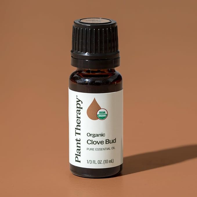Plant Therapy Organic Clove Bud Essential Oil, 10 mL (1/3 oz), 100% Pure and Undiluted, USDA Certified Organic, Fresh and Spicy Scent, Great for Aromatherapy