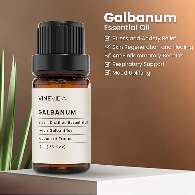 VINEVIDA [10ml] Galbanum Essential Oil - Undiluted - Candle Oil Scent - DIY Candle Scents for Candlemaking - Essential Oil for Soap Making