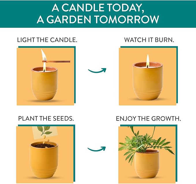 Modern Sprout Garden Vibes - 6 Oz Soy Candle Planter - Last Light - 2-Pack | 2 in 1 Soy Candles -6 oz w/40-hr Burn- Bug-Repelling Citronella,Rosemary, Cedarwood, Mint-Reusable Vessel as Marigold Planter
