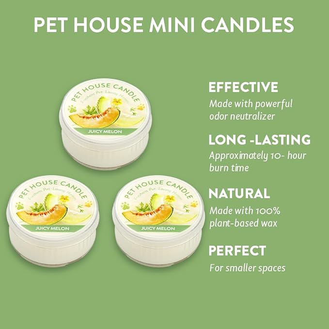 Pet House Mini Candles for Pet Odor Made with Natural Soy Wax, Plant Based, Dog and Cat Friendly Scented Candles, Juicy Mellon Pack of 3