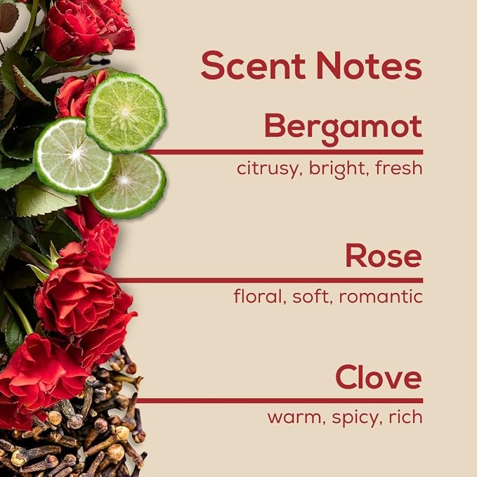 Scent Fill Rosewater Plug in Air Freshener, Scented Oil Refills, 2 Plug in Refills & Diffuser - Air Fresheners for Home, Bathroom, Kitchen, & More - Room Fresheners