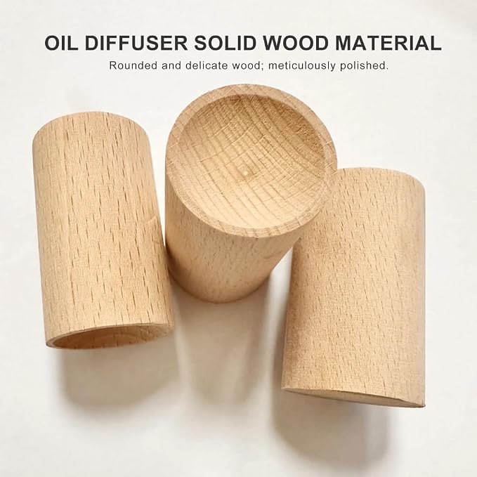 6 Counts Charcoal Wooden Diffuser, Best Hand-Crafted Wick Essential Oil Diffuser with Continuous Scent Release Closets Shoe Storage Cars and saunas