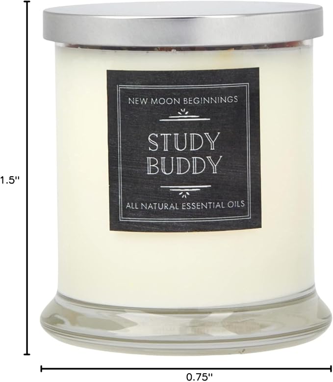 Creative Magic Candles by New Moon Beginnings - Focus, Creativity, & Concentration - Herb & Crystal Candles - Soy Aromatherapy Candle - 12oz Glass Jar