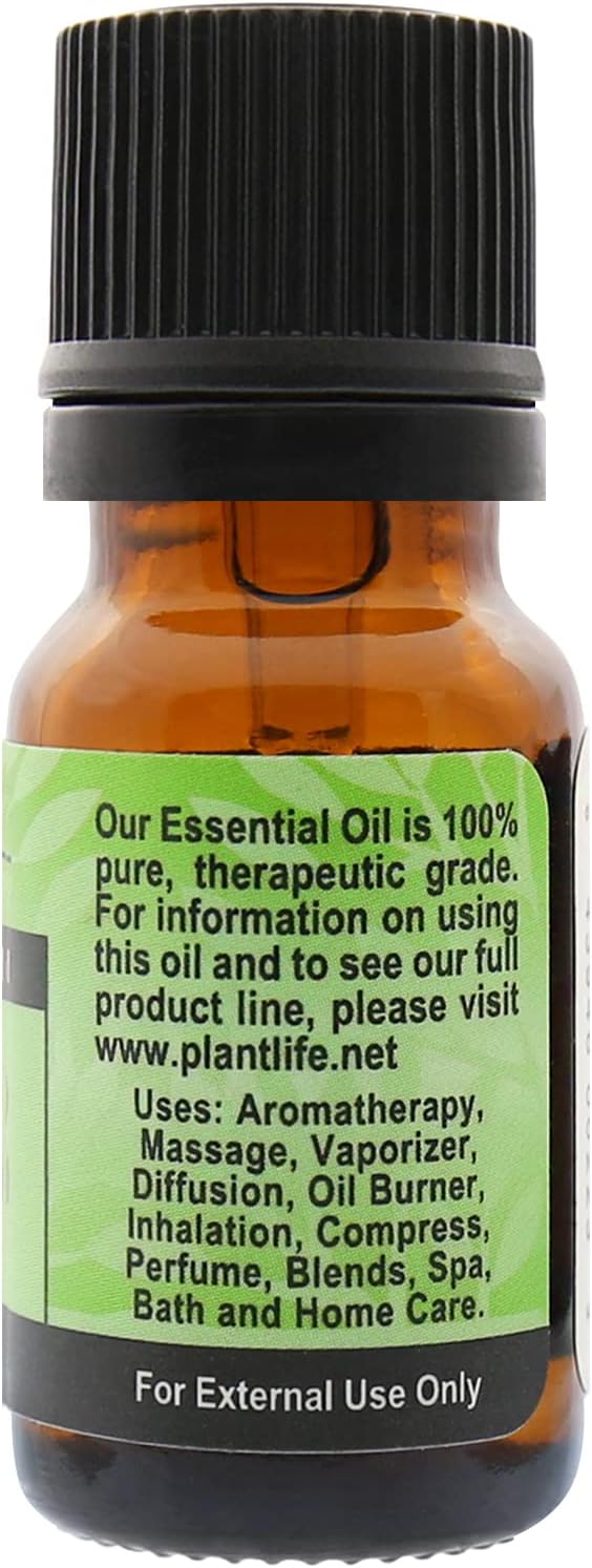 Plantlife Celery Aromatherapy Essential Oil - Straight from The Plant 100% Pure Therapeutic Grade - No Additives or Fillers - 10 ml