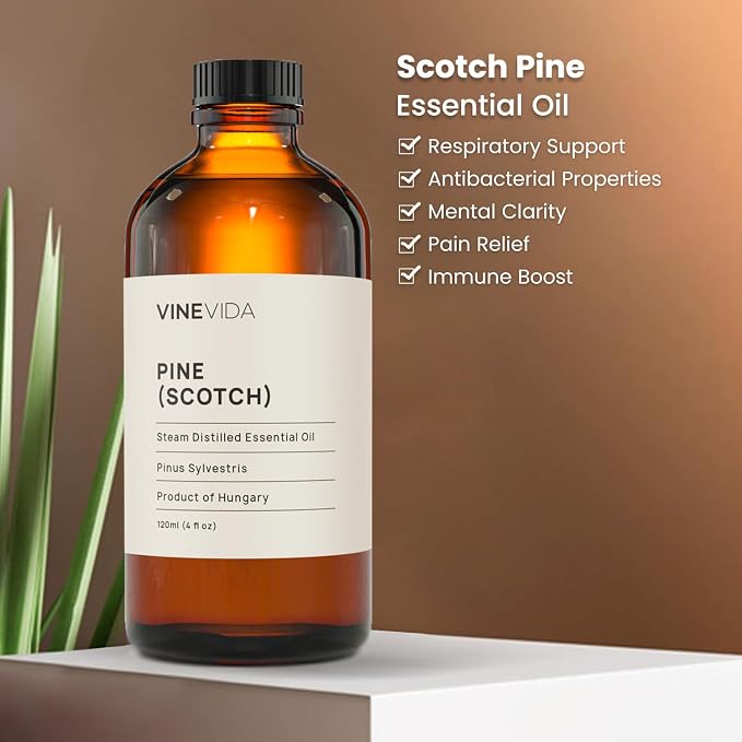 VINEVIDA Pine Scotch Essential Oil 4 oz - Undiluted Oil - DIY Candle Scents - Bulk Oil for Soap Making