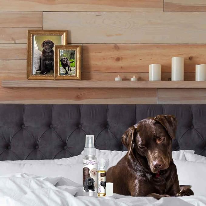 The Blissful Dog Labrador Retriever Relax Roll-ON Aromatherapy for Dogs