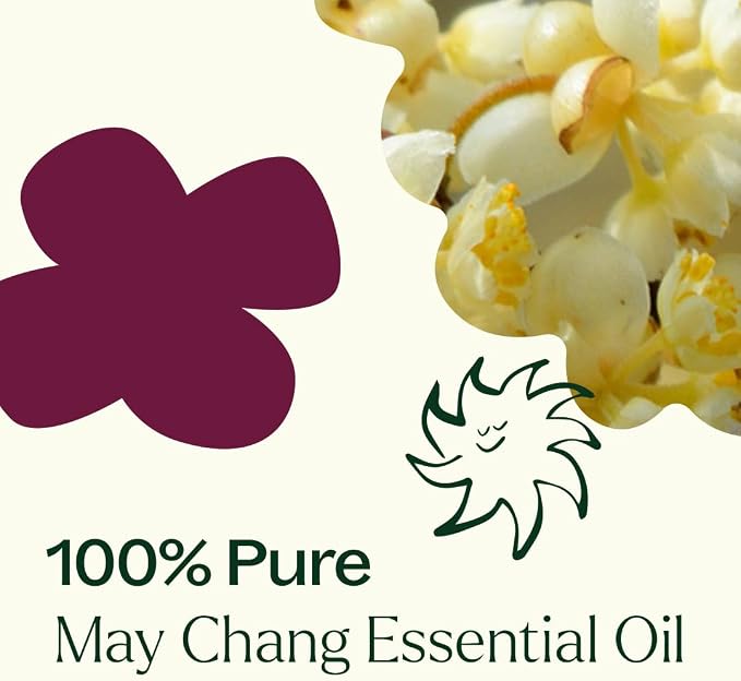 Plant Therapy May Chang Essential Oil 10 mL (1/3 oz) 100% Pure, Undiluted, Litsea Cubeba, Aromatherapy, Clear Skin, Energy, and Digestion Support