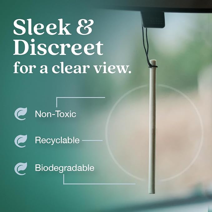 Enviroscent Non-Toxic* Car Air Freshener Auto Stix® - Scents Made Safer - Enjoy Fragrance Lasts Up to 180 Days - Includes Auto Stix® Diffusers & Elastic Loops - Seaside Coconut & Verbena (Pack of 3)