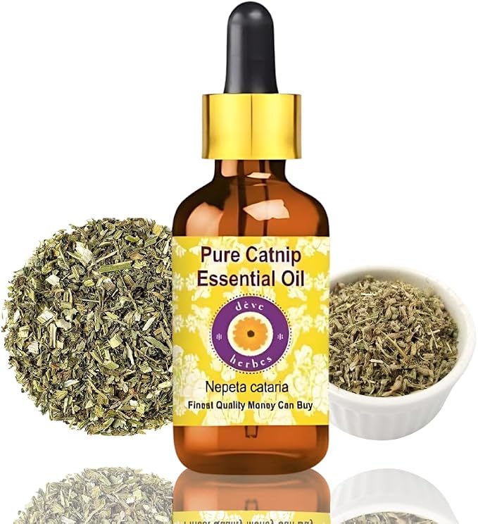 Deve Herbes Pure Catnip Essential Oil (Nepeta cataria) Steam Distilled with Glass Dropper 15ml (0.50 oz)
