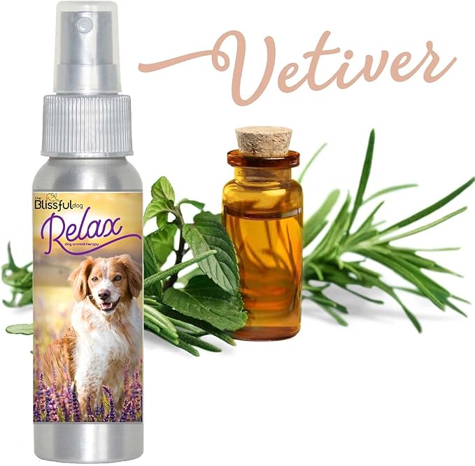 The Blissful Dog Brittany Spaniel Relax Dog Aromatherapy Spray for Your Dog's Anxiety