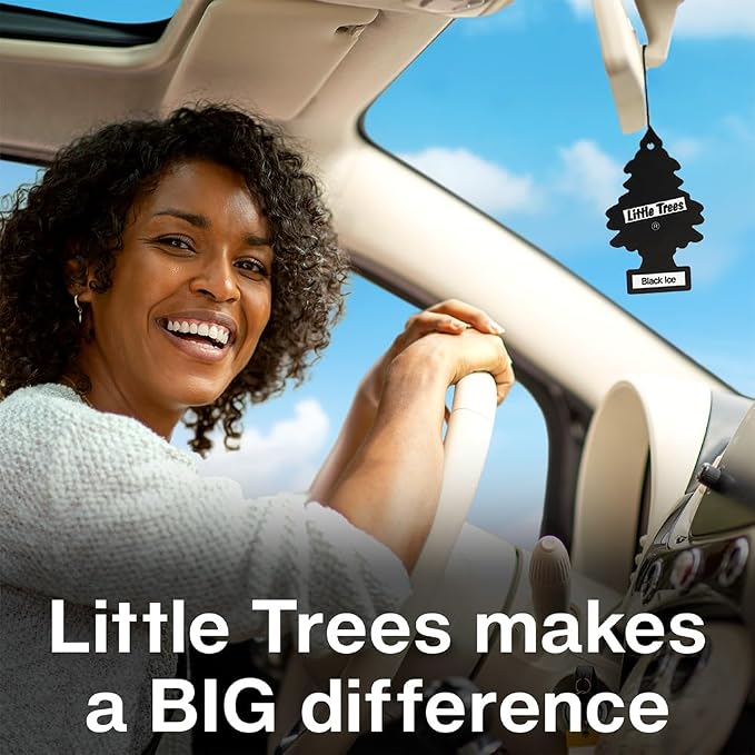 LITTLE TREES Air Fresheners Car Air Freshener. Hanging Tree Provides Long Lasting Scent for Auto or Home. Celebrate!, 24 Air Fresheners