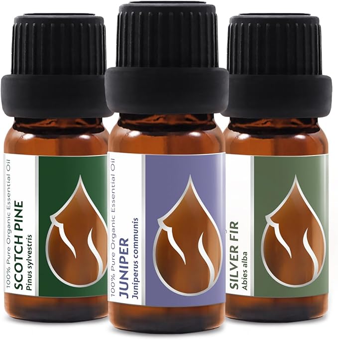 Set Forest Magic - Organic Essential Oils - Scotch Pine + Juniper + Silver Fir - 100% Pure and Natural Undiluted Aromatherapy Stress Relief Fresh Pine Resinous Aromas (3pcs x 10ml)