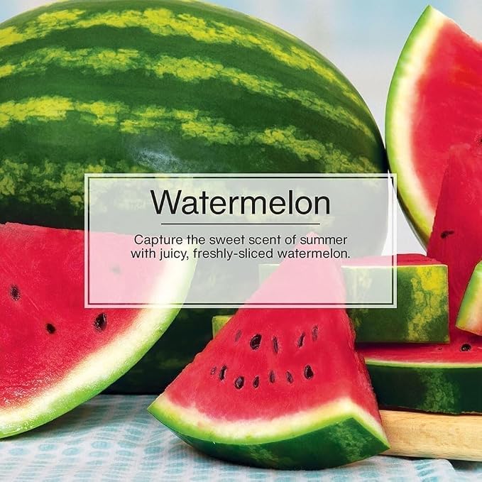 LITTLE TREES Car Air Freshener | Hanging Paper Tree for Home or Car | Watermelon Scent | 6 Pack