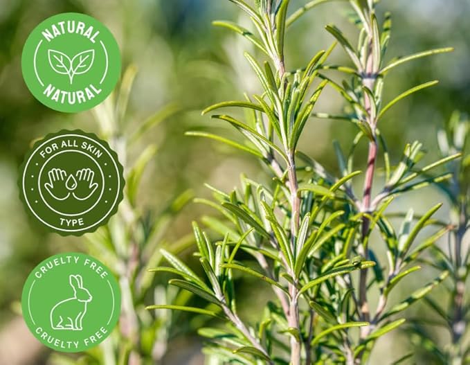 2 Bottles - 16 fl oz Rosemary Essential Oil (100% Pure & Uncut), Aluminum Bottle - GreenHealth