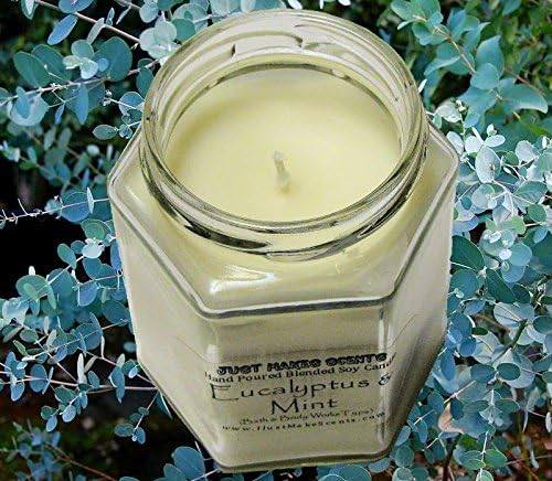 Eucalyptus Mint Scented Blended Soy Candle | Aromatherapy Stress Relief | Hand Poured in the USA by Just Makes Scents (8 oz)