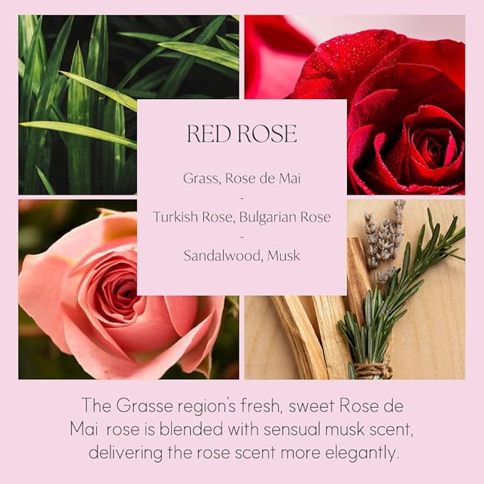 396 st. Preserved Baby's Breath Flower Reed Diffuser, Red Rose, 200ml(6.7oz) / Reed Diffuser Sets, Home Fragrance, Scented Oils, Home & Bathroom Décor