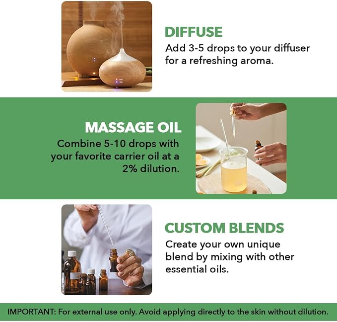 Majestic Pure Essential Oil with Glass Dropper - 100% Pure and Natural - Essential Oils for Diffuser, Aromatherapy, Soap and Candle Making, Tea Tree Essential Oil, Tea Tree Oil, 1 Fl Oz