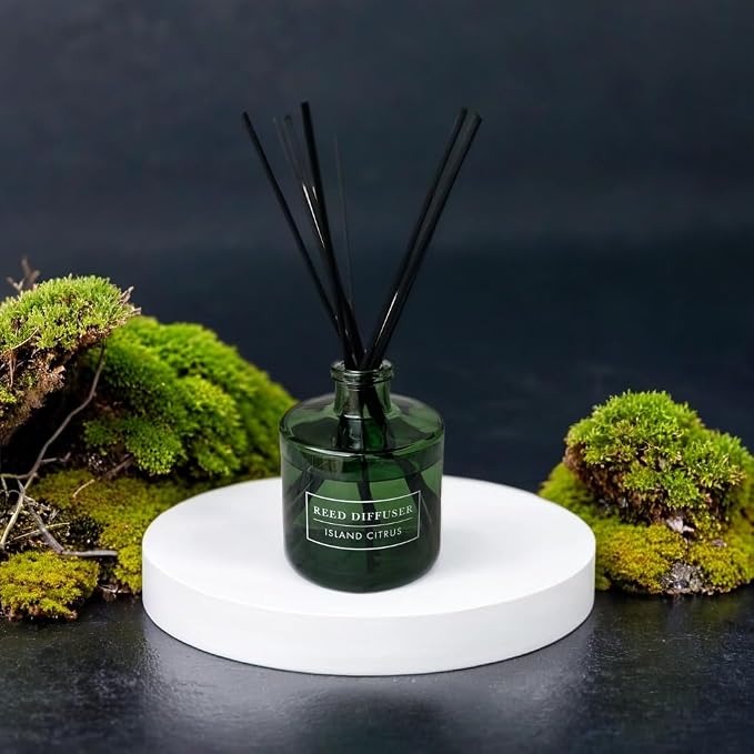 Bellevue Diffuser, 6 fl oz Glass Filled Diffuser, Highly Concentrated Fragrances with Essential Oils, Home Fragrance, Scent: Island Citrus