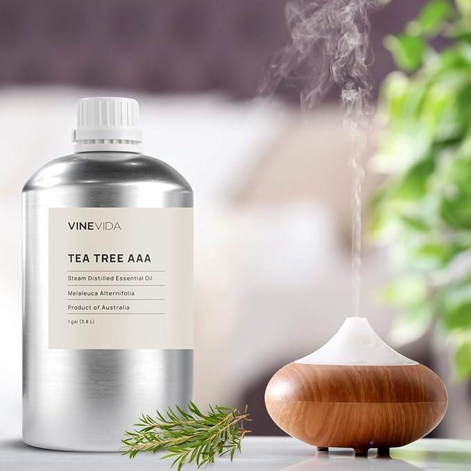 VINEVIDA Tea Tree Essential Oil - Gallon Undiluted - Bulk for Soap Making & Candle Scents - 8 lbs