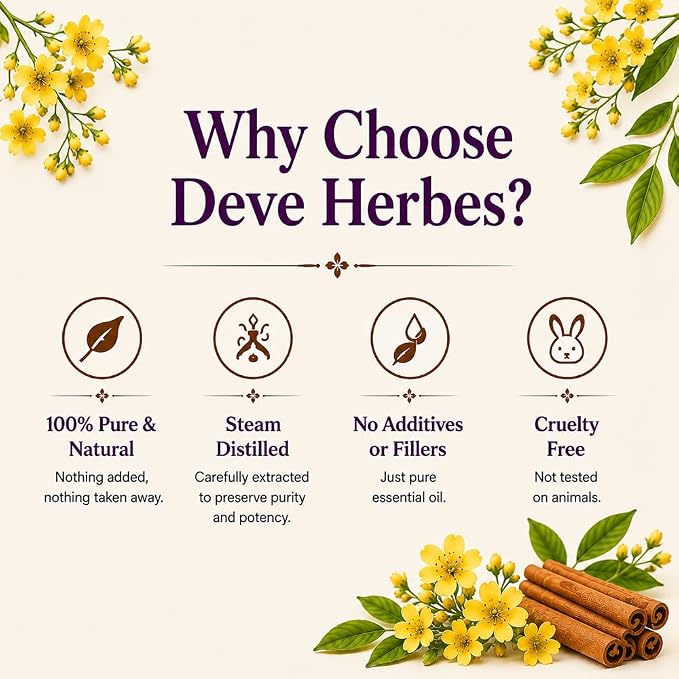 dève herbes Cassia Essential Oil (Cinnamomum Cassia) Pure | Non-Sticky | Non-Greasy | Lightweight | Men & Women | All Skin Types | Steam Distilled 30ml (1 oz)