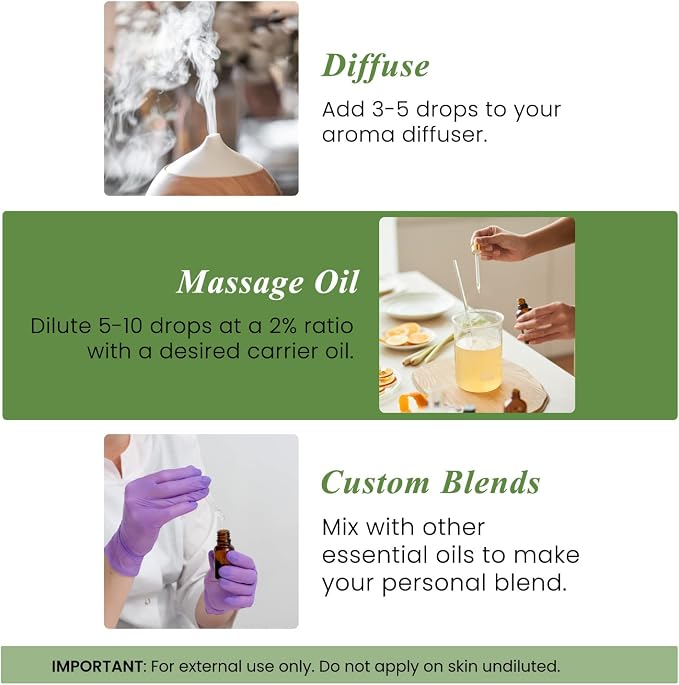 Handcraft Blends Ultimate Herbal Focus Set: Rosemary and Basil Essential Oils – (2 x 4 Fl Oz) – 100% Pure & Natural – for Diffuser, Aromatherapy, and DIY Projects
