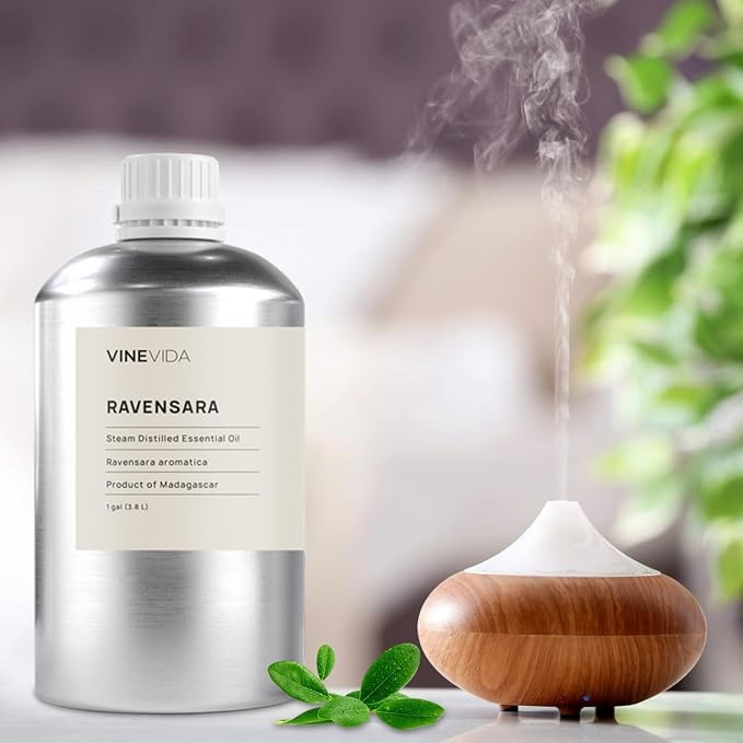 VINEVIDA Ravensara Essential Oil-Gallon Oil Undiluted-Bulk Gallon for Soap Making Safe Skin-DIY Candle Scents Candlemaking Scents-8 lbs (32GALV-OBP-RVN-SRA-GAL)