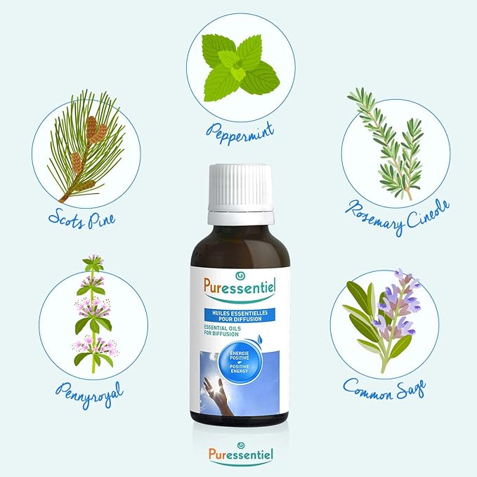 Organic Essential Oil - Oil Blends No Solvents, Fillers or Synthetic Fragrances - Essential Oils for Home, Body and Skin - Eucalyptus Radie - 0.3 oz