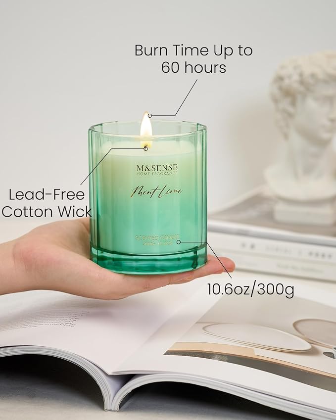 M&SENSE Citronella Mint Soy Candle, 10.6oz Indoor & Outdoor Fresh Scent | Natural Soy Wax, 60-Hour Long Lasting Burn Time, Non Toxic Relaxing Candle for Summer, Stress Relief for Family Friends