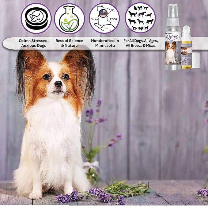 The Blissful Dog Papillon Relax Roll-ON Aromatherapy for Dogs - Anxiety Relief for Dogs