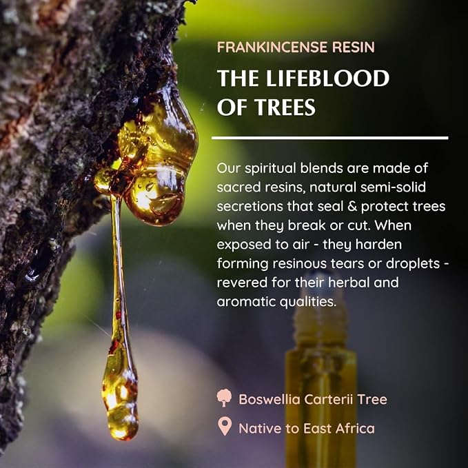 Frankincense Resin Essential Oil Roll-On Blend by Aromafume | 1 x 10ml / 1 x 0.33 Fl Oz | Made with Boswelia Caterii & Boswelia Serrata | for Meditation, Spiritual Awakening, Prayer and Wellness