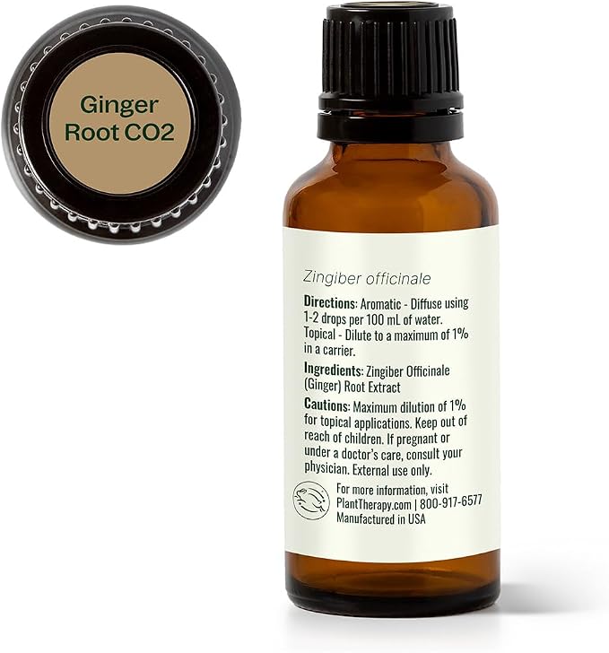 Plant Therapy Ginger Root CO2 Essential Oil 30 mL (1 oz), 100% Pure, Undiluted, Digestion Support and Aromatherapy