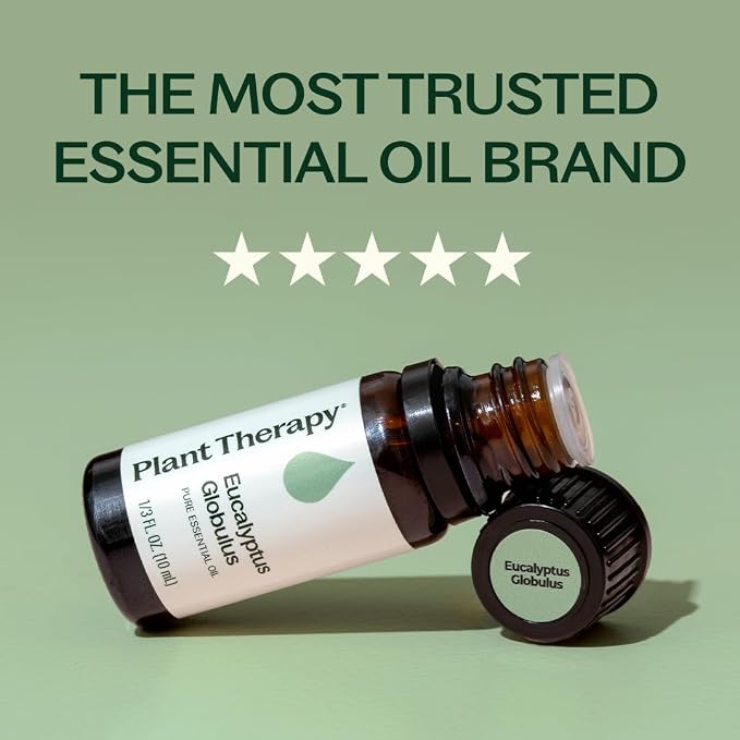 Plant Therapy Eucalyptus Globulus Essential Oil 10 mL (1/3 oz) 100% Pure, Undiluted for Diffuser, Skin, Hair, Aromatherapy DIYs, and Respiratory Support