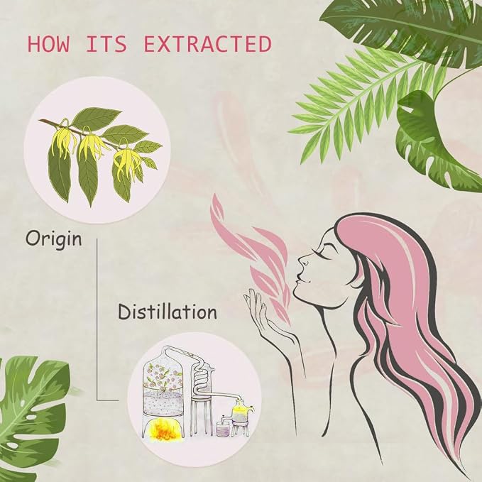 Ylang Ylang Essential Oil - 100% Pure Organic Natural Plant (Cananga odorata) Ylang Ylang Oil for Diffuser, Aroma, Spa, Massage, Yoga, Perfume, 0.33oz