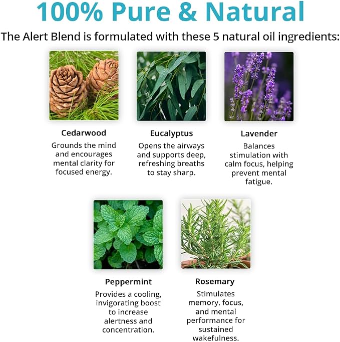 Wild Essentials Alert 100% Pure Essential Oil Synergy Blend 2 Pack - 10ml, Therapeutic Grade - Keeps You Awake, Sharp and Energized with a Fresh, Clean and Uplifting Aroma, Made in the USA