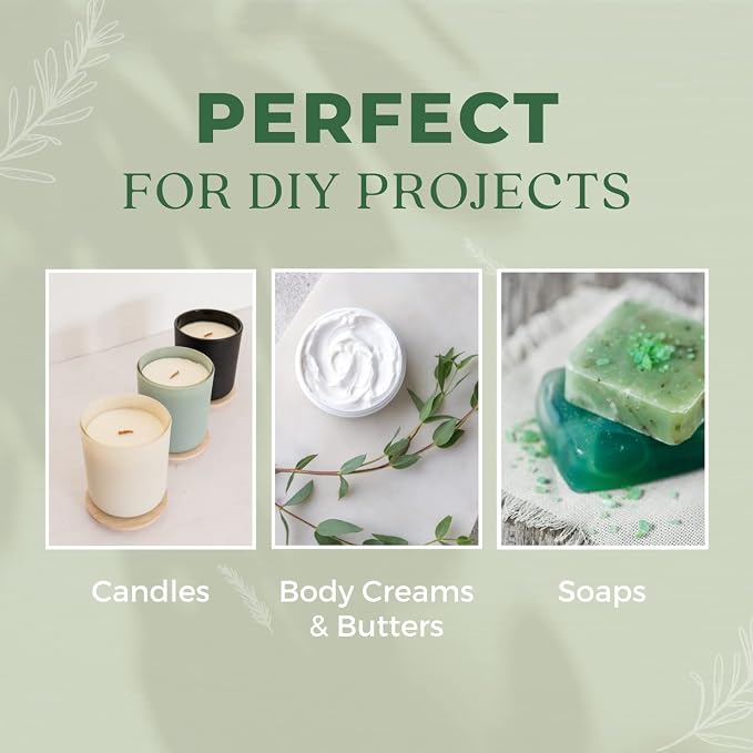 Wintergreen Essential Oil,100% Pure Natural Organic Therapeutic Grade for Aromatherapy Diffuser, Winter Green Oil for Inhalation Therapy, DIY Soap Candle Making, Refreshing, Crisp & Woodsy Scent