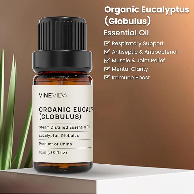 VINEVIDA Organic Eucalyptus Essential Oil 10 mL - Undiluted, Pure, Vegan, Free of Harsh Chemicals, Reusable Glass Bottle with Euro Dropper