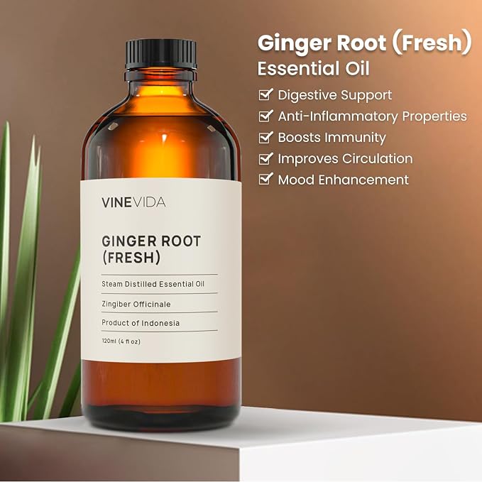 VINEVIDA Fresh Ginger Root Essential Oil 4 oz - Undiluted Ginger Root Oil 4 oz - Ginger Root Candle Oil Scent - DIY Candle Scents for Candlemaking