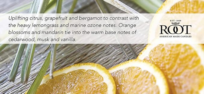 Root Candles Scented Candles Honeycomb Beeswax Blend Premium Handcrafted Candle, 12-Ounce 3-Wick, Tangerine Lemongrass