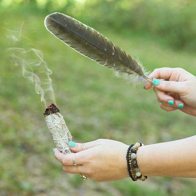 Purple Canyon Smudge Kit (Beginner's Gift Set) - 3 White Sage Smudge Sticks, 2 Palo Santo, Abalone Shell, Smudge Feather w/Stand + Smudging Guide for Home Cleansing & Healing Meditation Rituals