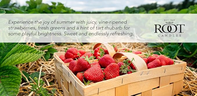 Root Candles Scented Candles Honeycomb Beeswax Blend Premium Handcrafted Candle, Large Veriglass, Strawberry Fields