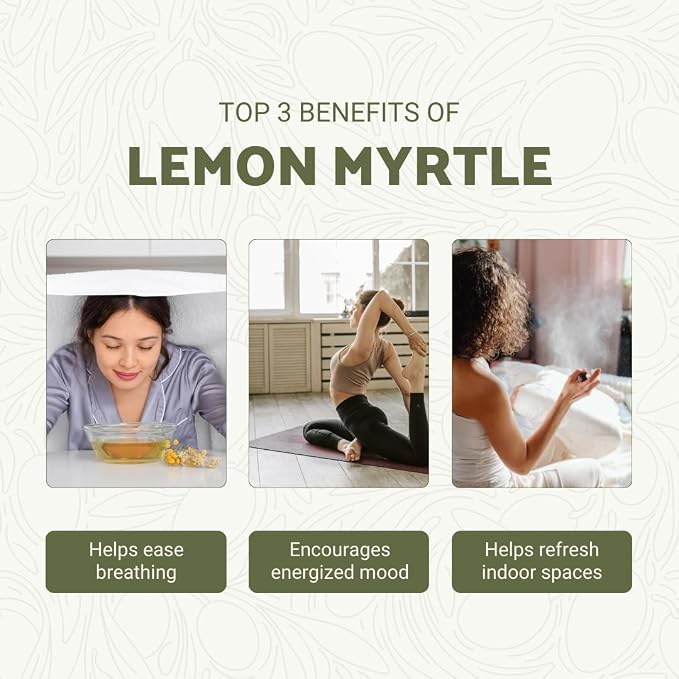 Lemon Myrtle Essential Oil - Experience an Invigorating, Fresh Citrus Aroma - Pure, Undiluted Therapeutic Grade Essential Oil - 5ml