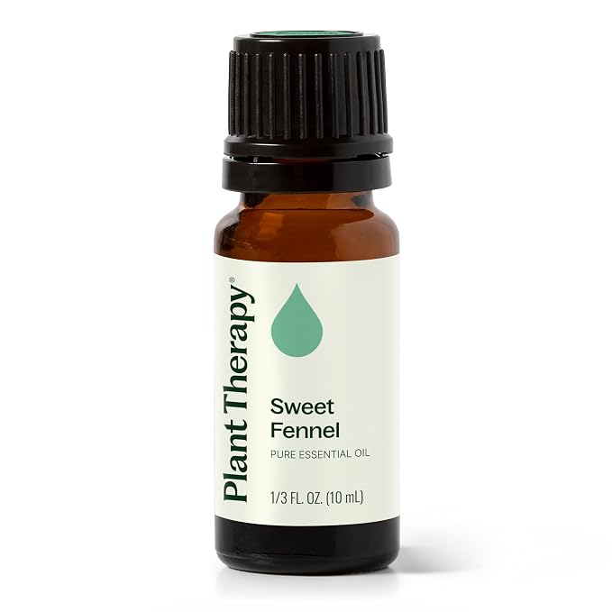 Plant Therapy Sweet Fennel Essential Oil 10 mL (1/3 oz) 100% Pure, Undiluted, Aromatherapy for Attention, Focus, and Digestive Discomfort