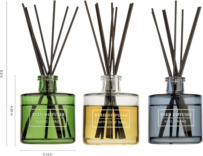 Bellevue Reed Diffuser Set, Three 6 fl oz Glass Filled Diffuser, Highly Concentrated Fragrances with Essential Oils, Home Fragrance (Island Citrus, Driftwood Sand, Blue Linens)