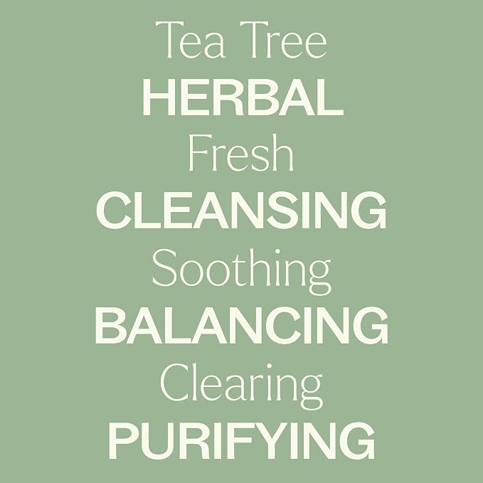 Plant Therapy Tea Tree (Melaleuca) Hydrosol 4 oz by-Product of Essential Oils